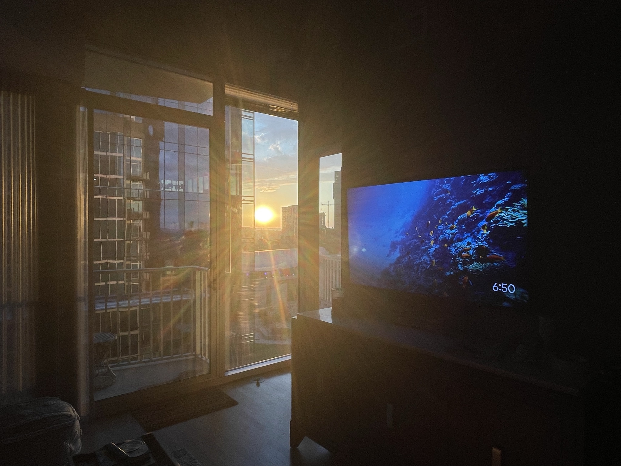 The View